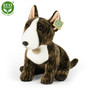 Bullterrieri pehmo