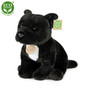 Musta staffordshirenbullterrieri