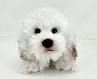 Bichon Frise pehmo 30cm