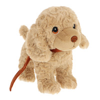 Cavapoo pehmokoira