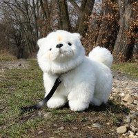 Chow Chow pehmo