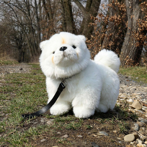 Chow Chow pehmo