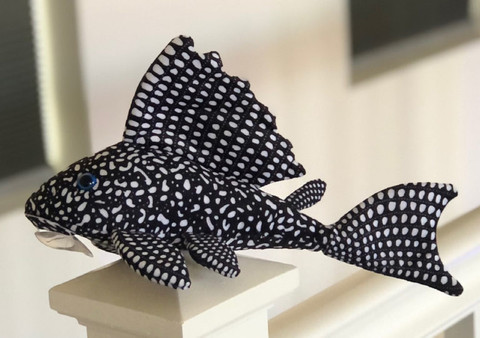 Famous pleco pehmokala
