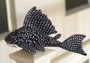 Famous pleco pehmokala