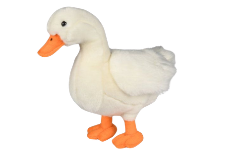 Valkoinen ankka