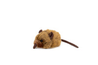 Hyppypäästäinen (Rüsselspringer, sengi)
