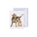 Wrendale Puppy love koira -minikortti