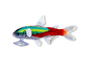 Neon tetra pehmokala