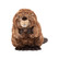 Wrendale Chester junior majava