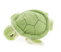 Pikkuinen merikilpikonna