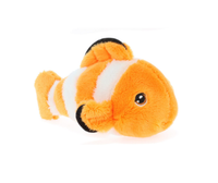 Pikkuinen vuokkokala