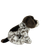 Pointteri pehmokoira