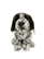 Pointteri pehmokoira