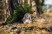 Steiff Hedgy siilipehmo 16 cm