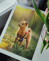 Suomenpystykoira palapeli