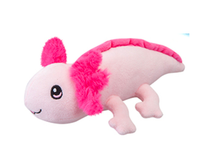 Pieni pinkki aksolotli