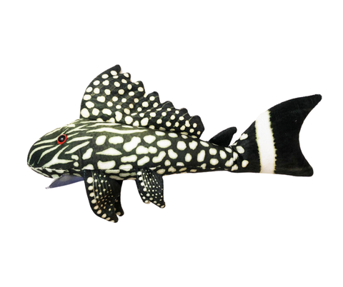 Watermelon pleco pehmokala