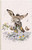 Wrendale aasi memo-vihko