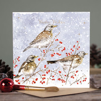 Wrendale talviset linnut