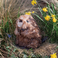 Wrendale Chester junior majava