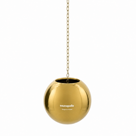 New Shiny Gold 