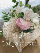 Lahjakortti Wilhelmiinaan