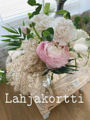 Lahjakortti Wilhelmiinaan