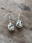 FANTASY KORVAKORUT PISARA DALMATIALAINEN