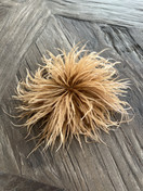 RINTA/ HIUSKORU KAMELI