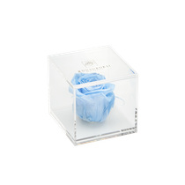 Acrylic box 1 rose (light blue rose)