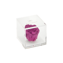 Acrylic box 1 rose (lilac rose)