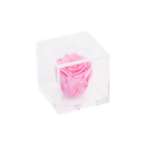 Acrylic box 1 rose (pink rose)