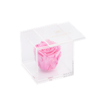 Acrylic box 1 rose (pink rose)