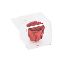 Akryyliboksi 1 ruusu