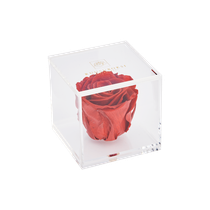 Akryyliboksi 1 ruusu