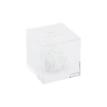Acrylic box 1 rose (white rose)