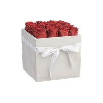 M - Betoninen neliskanttinen ruusuboksi