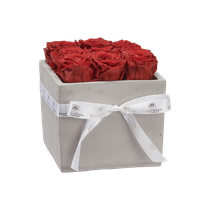 S - Betoninen ruusuboksi