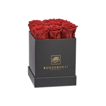 S - Square rosebox
