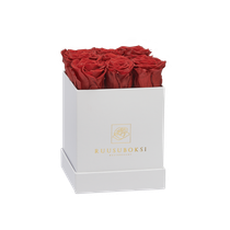 S - Neliskanttinen ruusuboksi (punaisilla ruusuilla)