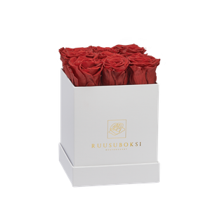 S - Square rosebox