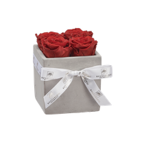 XS - Betoninen ruusuboksi