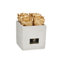 XS - Betoninen ruusuboksi