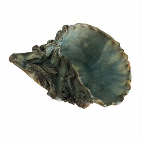 Koriste-esine, Simpukka