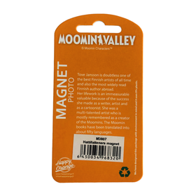 Magneetti, Hattivatti