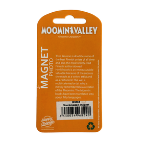 Magneetti, Niiskuneiti