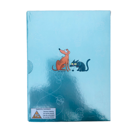 DVD, Simpsonit 2. tuotantokausi