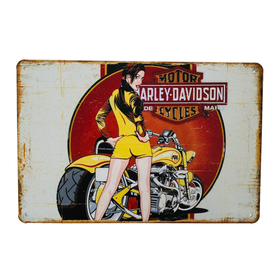 Peltikyltti, Harley Davidson