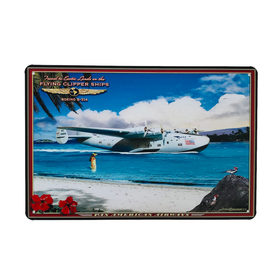 Peltikyltti, Lentokone