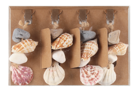 Pöytäliinan painot 4 kpl, Simpukka